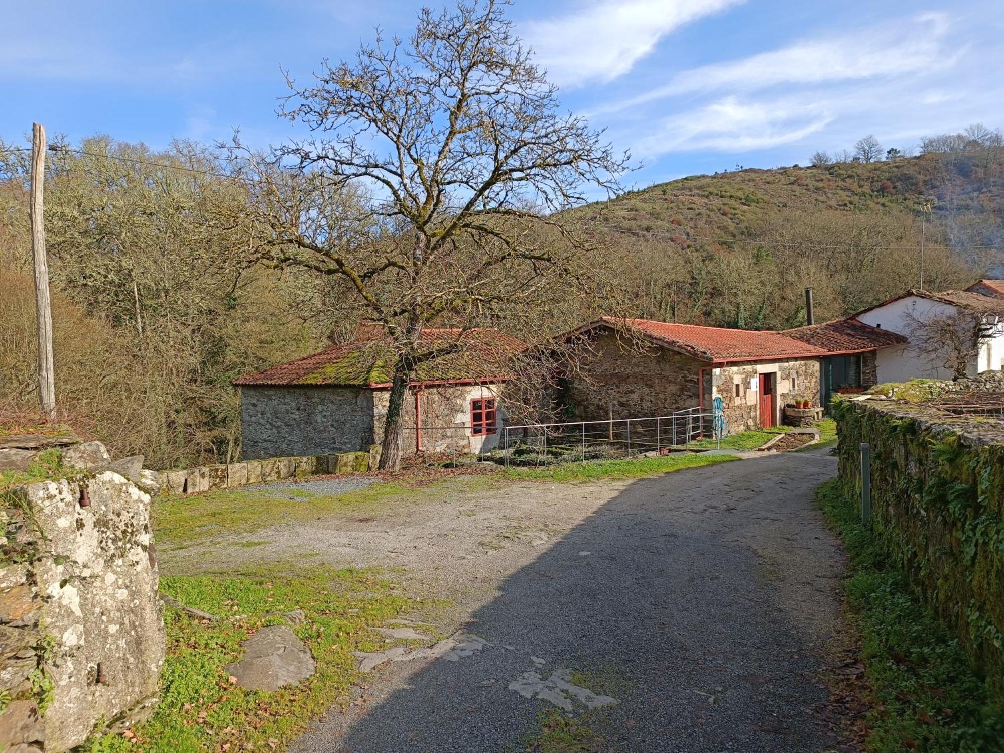 Casa Grande De Covas-Apartamentos Turisticos Taboada Exteriör bild