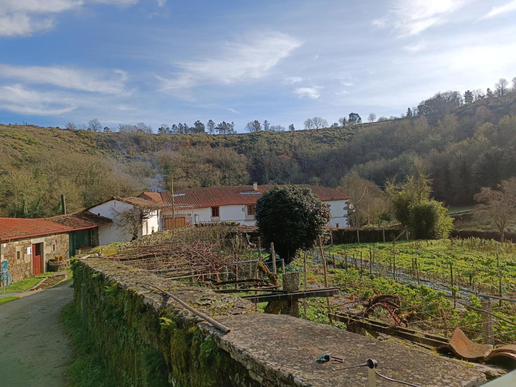 Casa Grande De Covas-Apartamentos Turisticos Taboada Exteriör bild