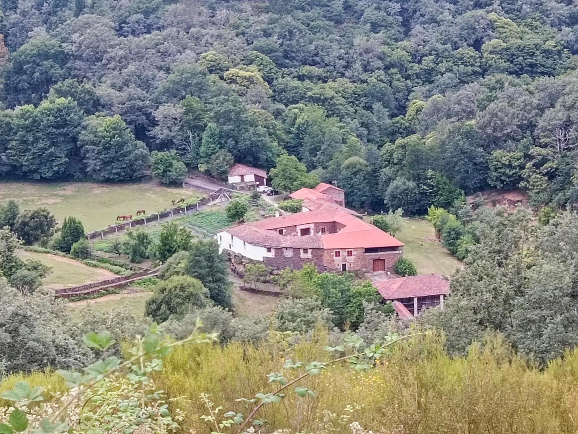Casa Grande De Covas-Apartamentos Turisticos Taboada Exteriör bild