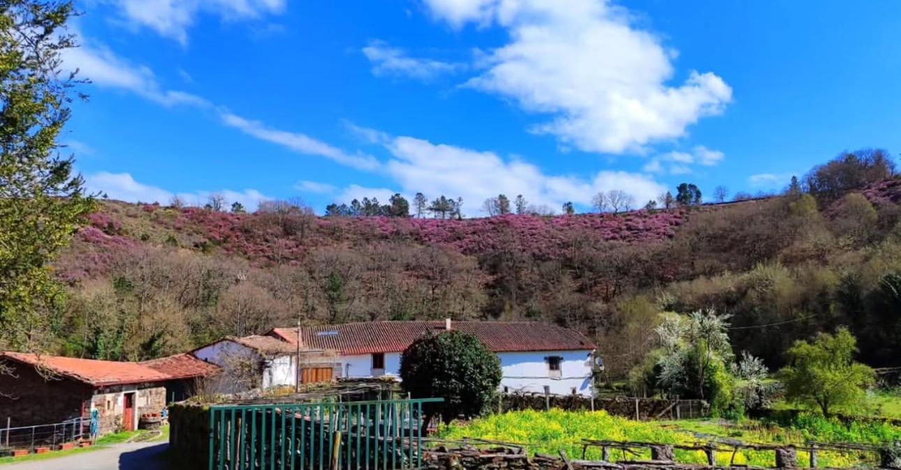 Casa Grande De Covas-Apartamentos Turisticos Taboada Exteriör bild