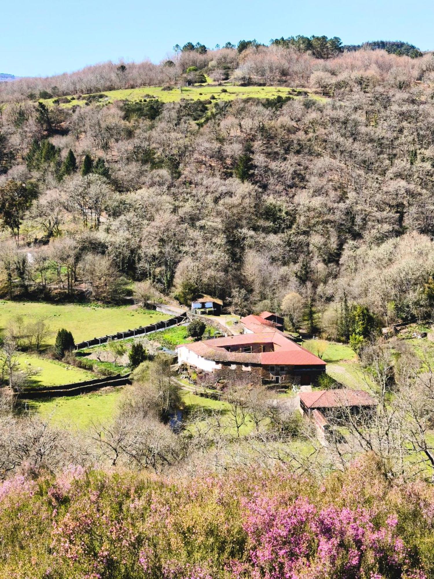 Casa Grande De Covas-Apartamentos Turisticos Taboada Exteriör bild